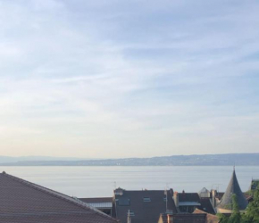 Leman Lake panoramic view - Evian-les-Bains city center